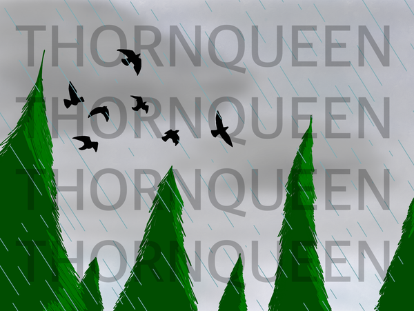 I drew trees